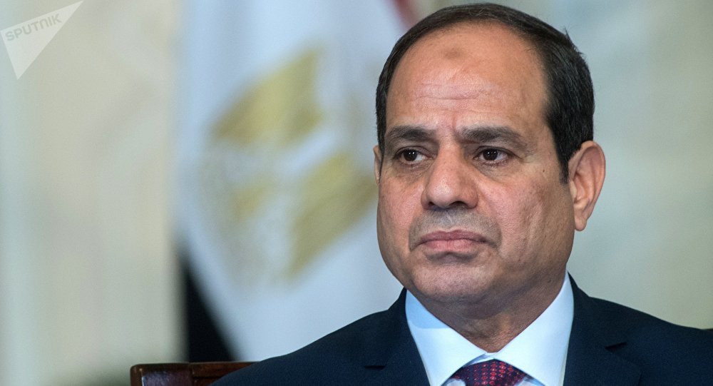 السيسي: مصر فقدت من 80 إلى 90 مليار دولار خلال 7 سنوات