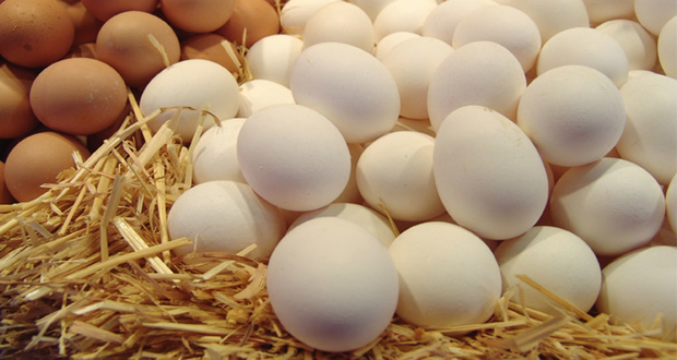 بيض الدجاج يساعد في تخفيض الوزن