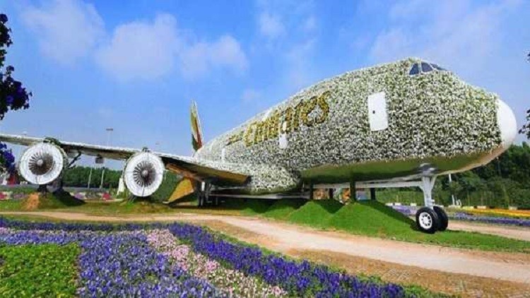 في الامارات ... أكبر طائرة مصنوعة من الزهور في العالم!