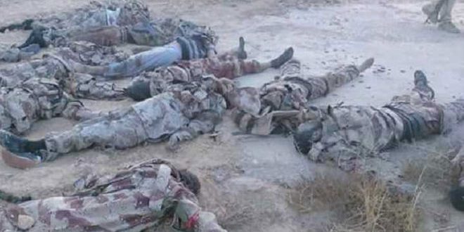 الجيش واللجان الشعبية اليمنية يتصدون لهجمات مرتزقة بني سعود ويكبدونهم خسائر في العتاد والأرواح