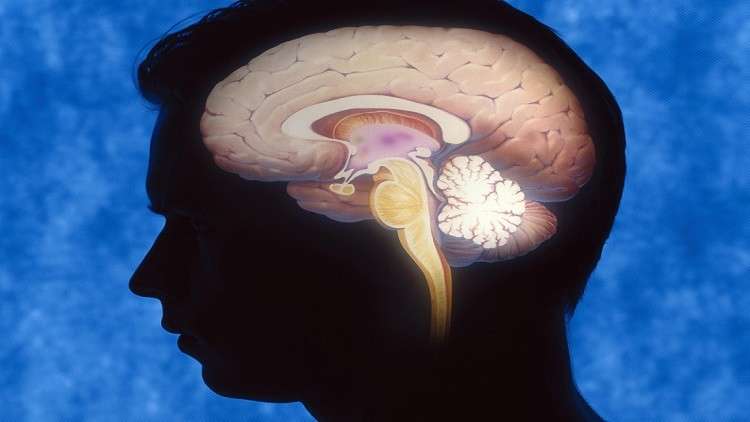 الدماغ البشري يصاب بالشيخوخة بدءا من سن الـ25