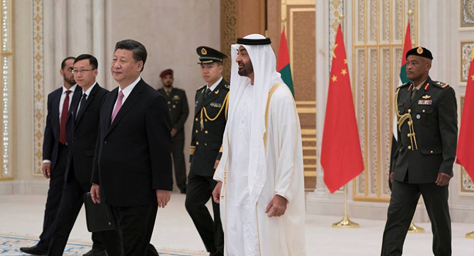 "جلاردو"... محمد بن زايد يفاجئ الرئيس الصيني بهدية غير متوقعة (فيديو)